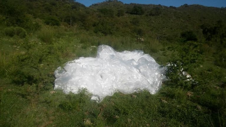 El curioso objeto que cayó en un campo de Berrotarán