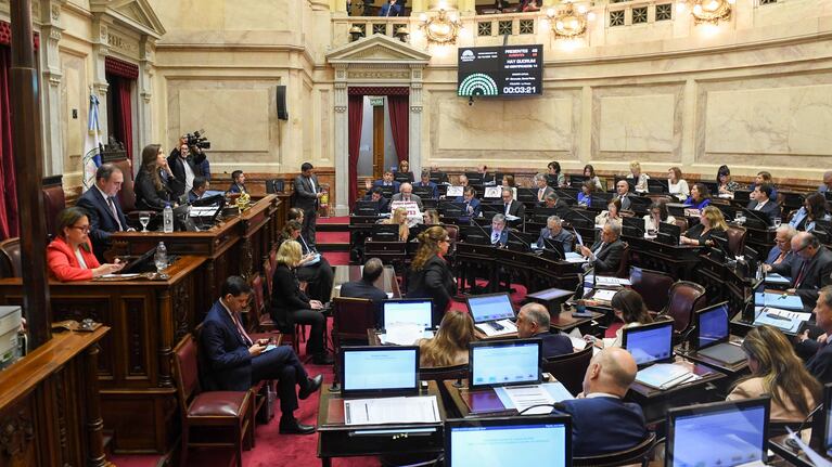 El debate en el Senado por los vetos de Milei.