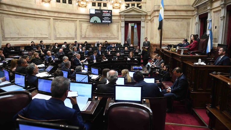 El debate por Ficha Limpia en el Senado. (Foto: Prensa Senado)