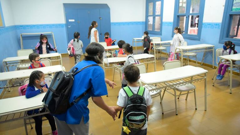 El debate por los protocolos para las escuelas.