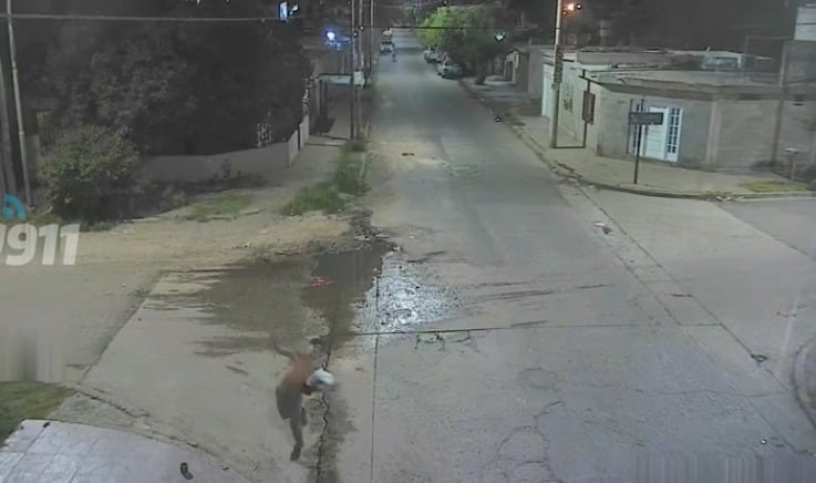 El delincuente destrozó la cámara.