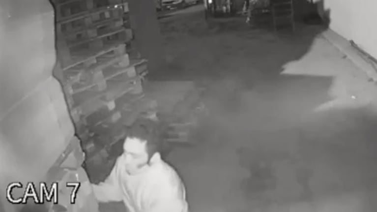 El delincuente quedó filmado y vecinos aseguran que saben quién es.