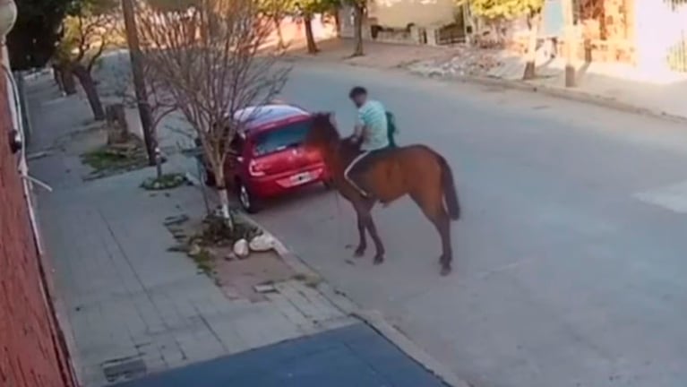 El delincuente sacó las cosas del vehículo y huyó en su caballo. 