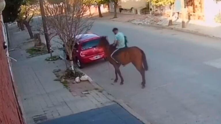El delincuente sacó las cosas del vehículo y huyó en su caballo.