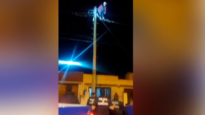 El delincuente se convirtió en el hombre araña.