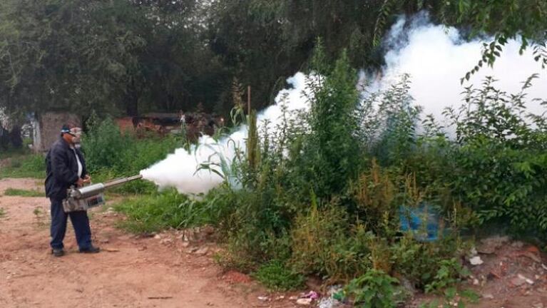 El dengue sigue batiendo récords en Córdoba