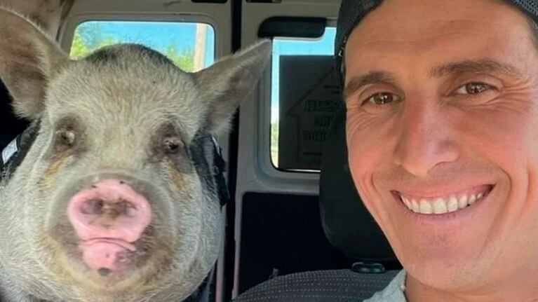 El denunciado negó cualquier tipo de relación con el hecho, pero posteó una foto con el animal en redes.