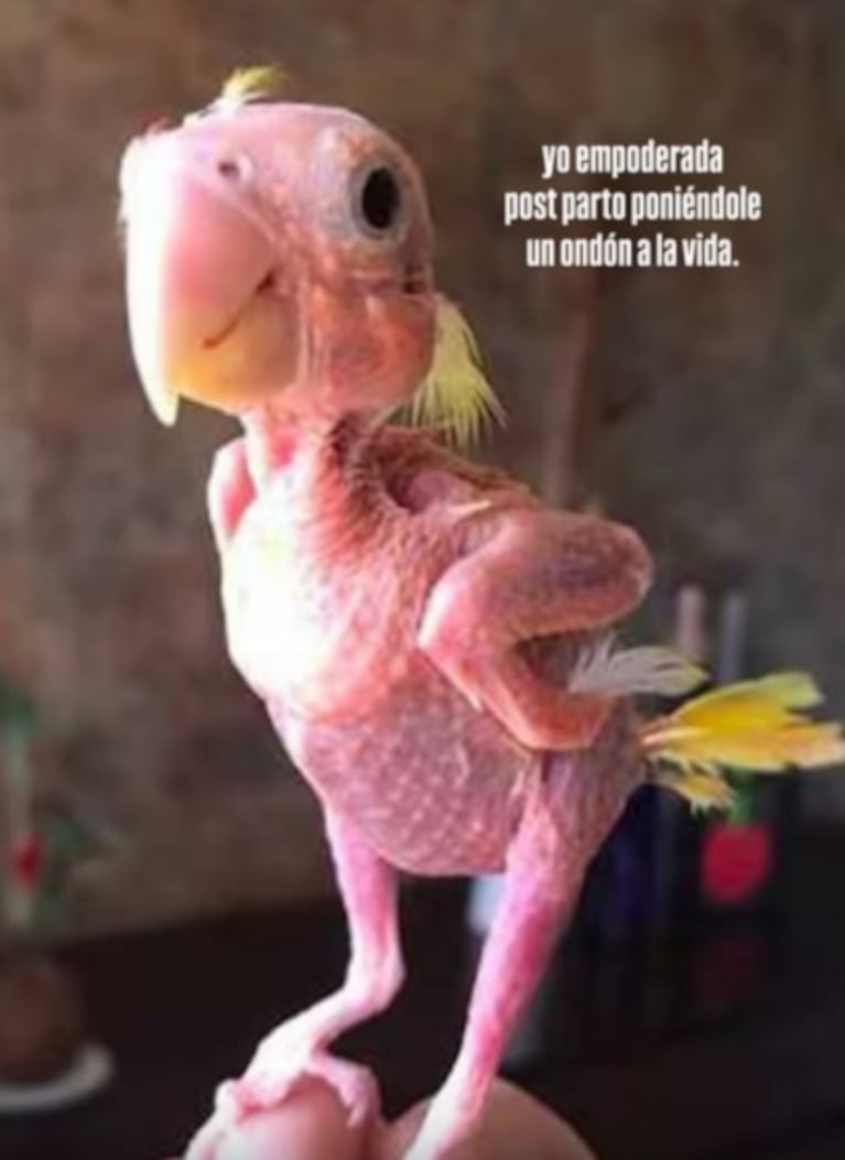 El desagradable hallazgo que hizo un plomero en el baño de Jimena Barón