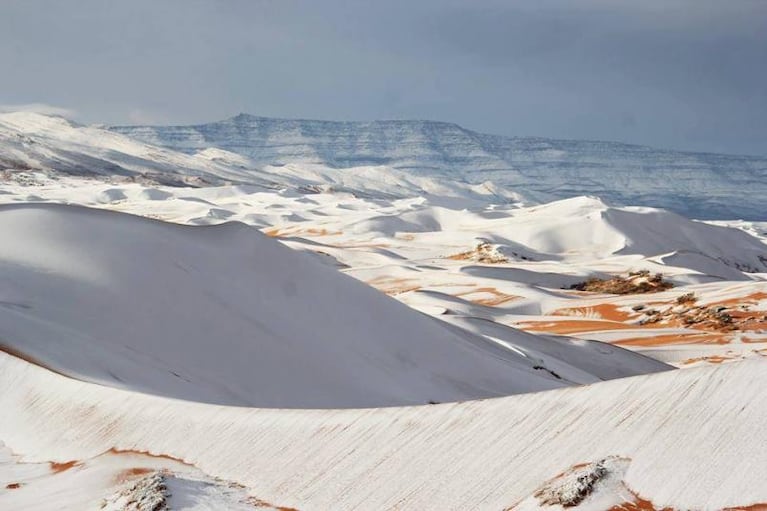 El desierto del Sahara amaneció cubierto de nieve