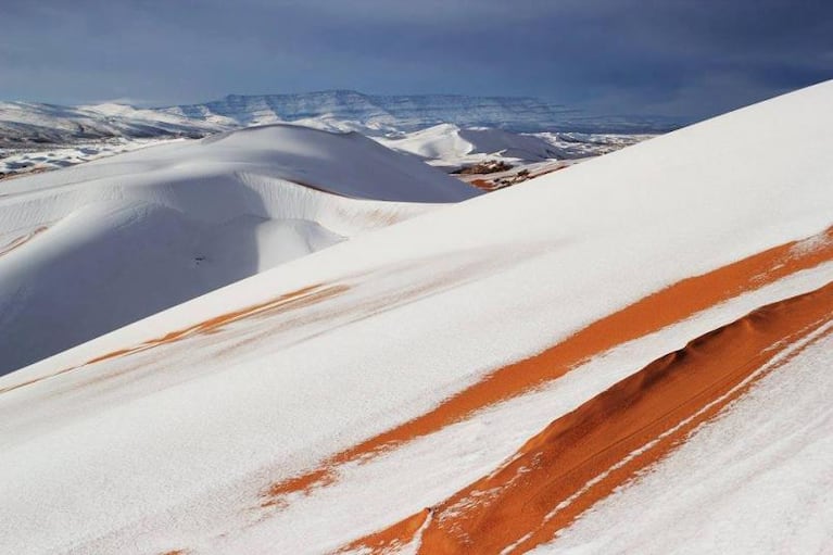 El desierto del Sahara amaneció cubierto de nieve