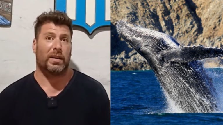 El desopilante viral cordobés de la ballena que tragó y escupió a un hombre en Chile.