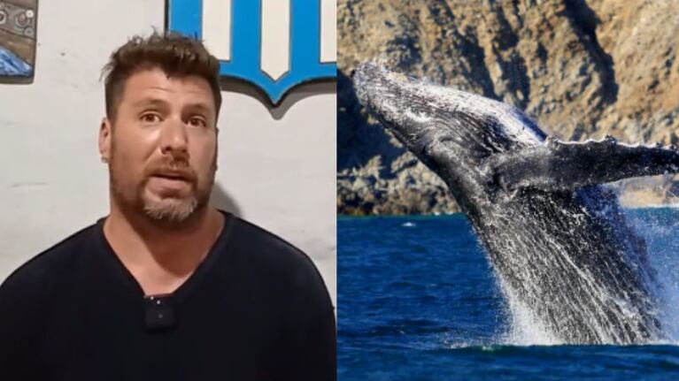 El desopilante viral cordobés de la ballena que tragó y escupió a un hombre en Chile.
