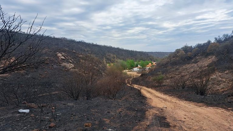 El día después de los incendios en Córdoba: el desolador relato de los vecinos