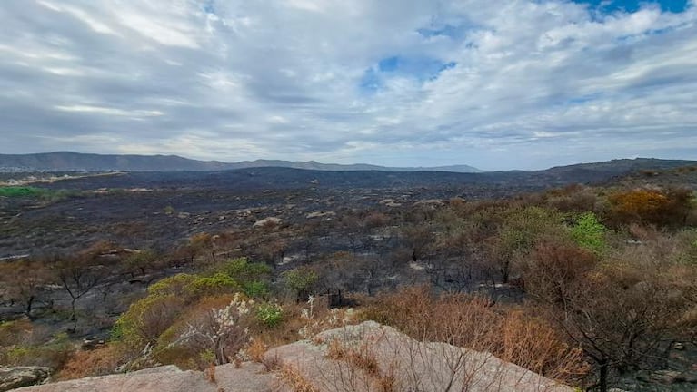 El día después de los incendios en Córdoba: el desolador relato de los vecinos