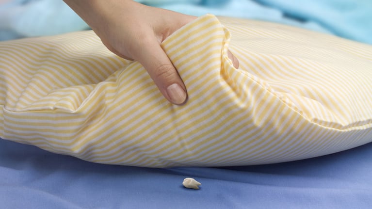 El diente para el Ratón Pérez de una nena cordobesa y una historia viral. (Foto: ShutterStock)