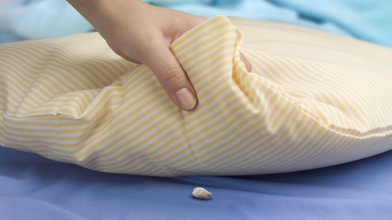 El diente para el Ratón Pérez de una nena cordobesa y una historia viral. (Foto: ShutterStock)