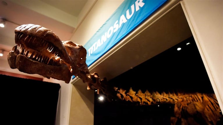 El dinosaurio más grande del mundo fue presentado en el Museo de Historia Natural. Foto: EFE.