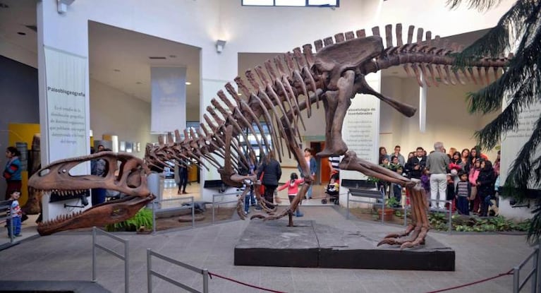 El dinosaurio más grande vivió en el sur argentino