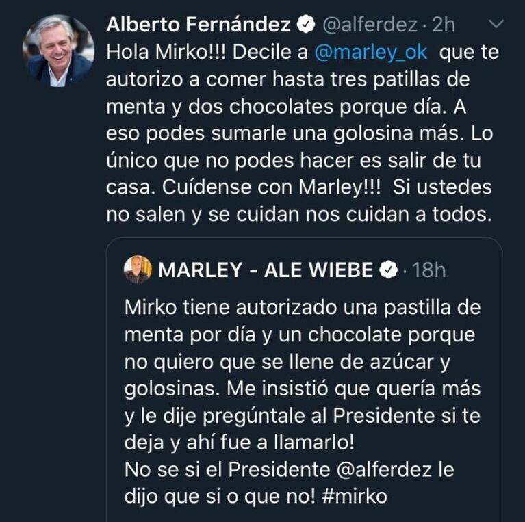 El divertido cruce de Alberto Fernández y Marley en las redes sociales