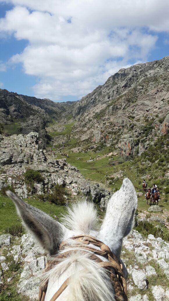 El Doce vivió la Cabalgata Brocheriana por dentro. 