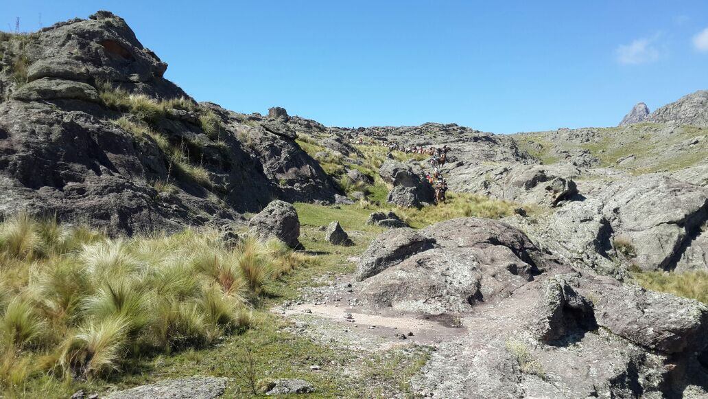 El Doce vivió la Cabalgata Brocheriana por dentro. 