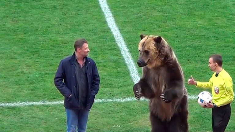 El domador celebra la obediencia del animal.