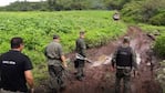 El dueño de la finca fue aprehendido en su casa.