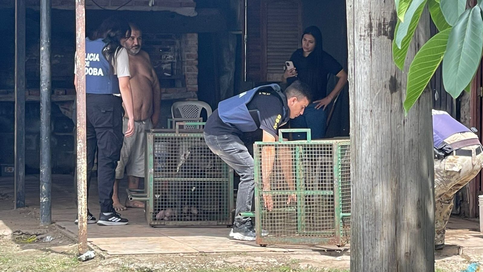 El dueño, sin remera, finalmente accedió a entregar los animales.