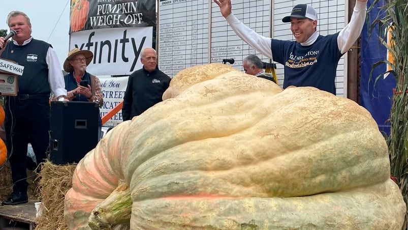 El ejemplar pesa 1.160 kilos.