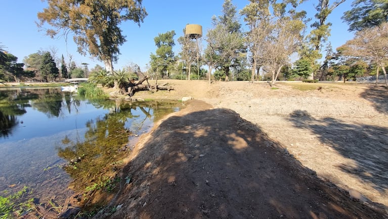 El ente BioCórdoba draga el espejo de agua para ponerlo en valor. En 8 etapas se quitarán sedimentos y árboles. Proyectan que la obra completa esté finalizada para fin de 2024. Fotos: Fido Cuestas / El Doce.