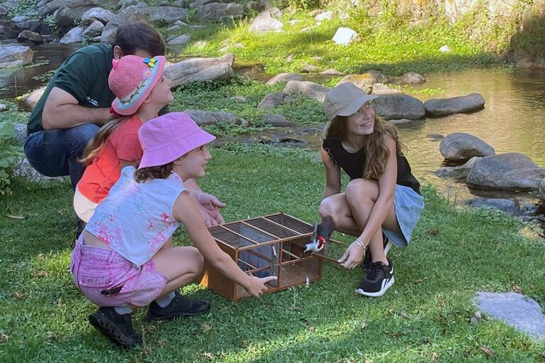 El equipo del Parque de la Biodiversidad liberó aves recuperadas en Córdoba.