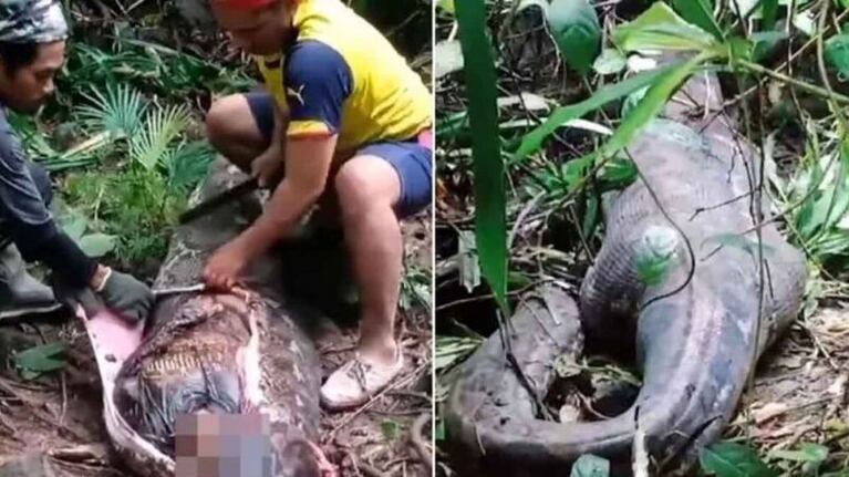 El escalofriante hallazgo se dio en Indonesia.