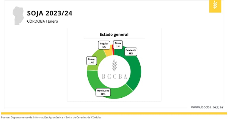 El estado de la soja en Córdoba hasta mediados de enero.