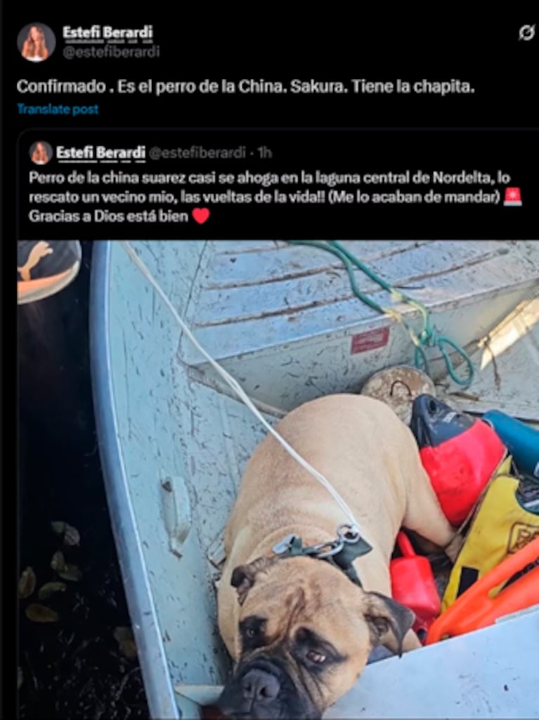 El extravío de Sakura movilizó a todos.