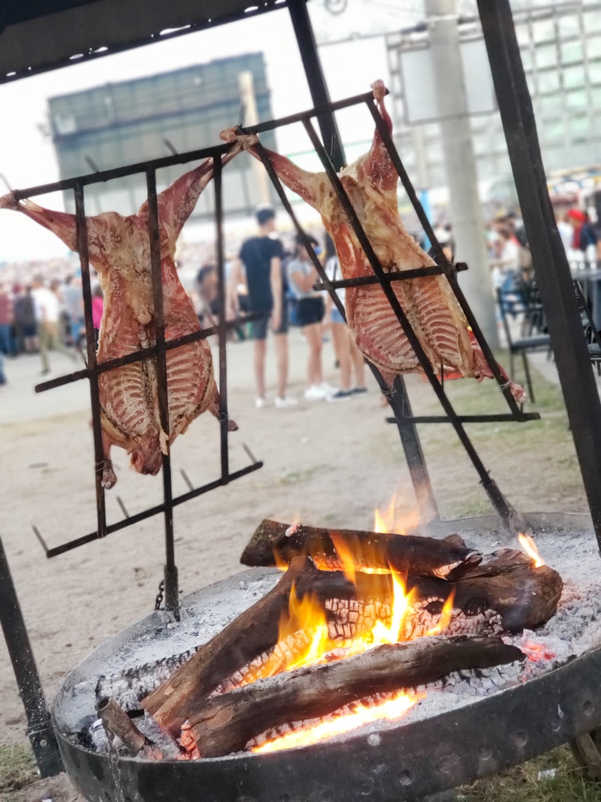 El Festival de Doma y Folklore está en sus últimos días. Foto: Julieta Pelayo/ElDoce.