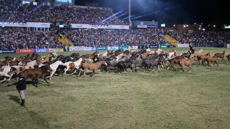 El Festival de la Doma y el Folclore suspendió la venta de anticipadas para el viernes 12.