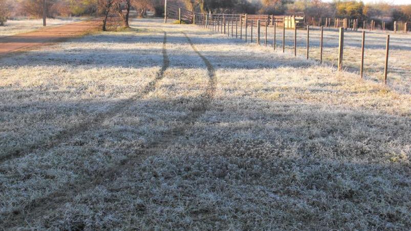 El fin de semana será más cálido en la provincia. 