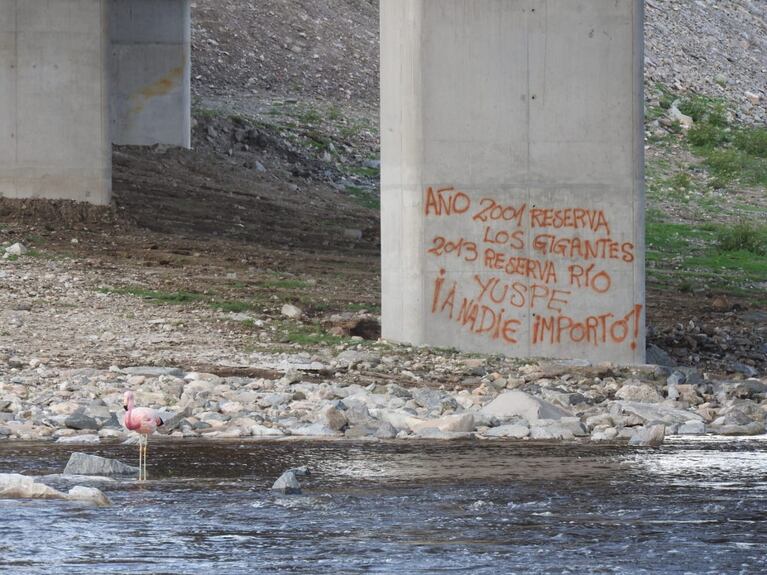 El flamenco fue avistado en el río Yuspe, debajo de la Autovía Punilla.