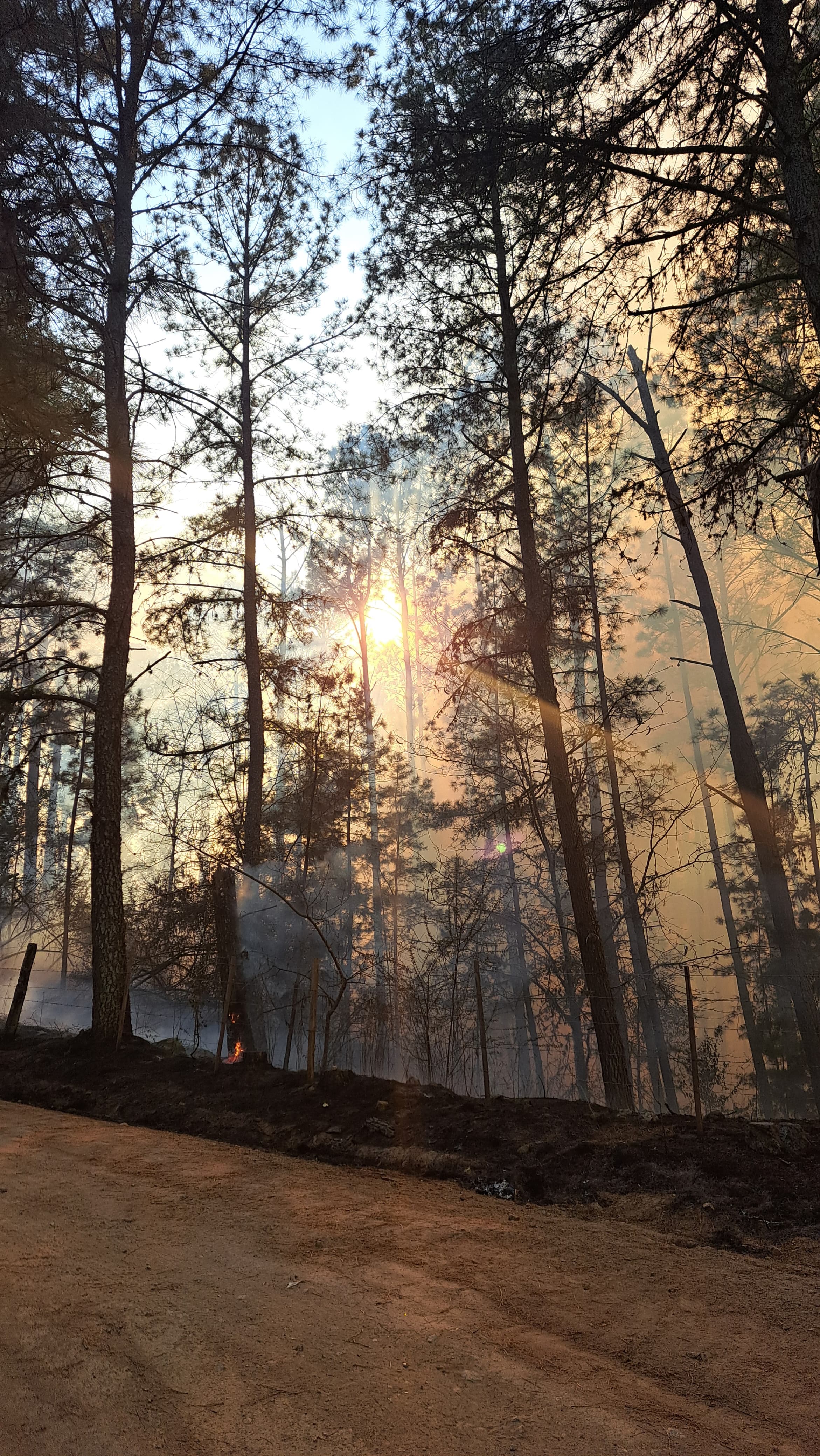 El foco consumió viviendas y obligó la evacuación de vecinos en El Durazno.