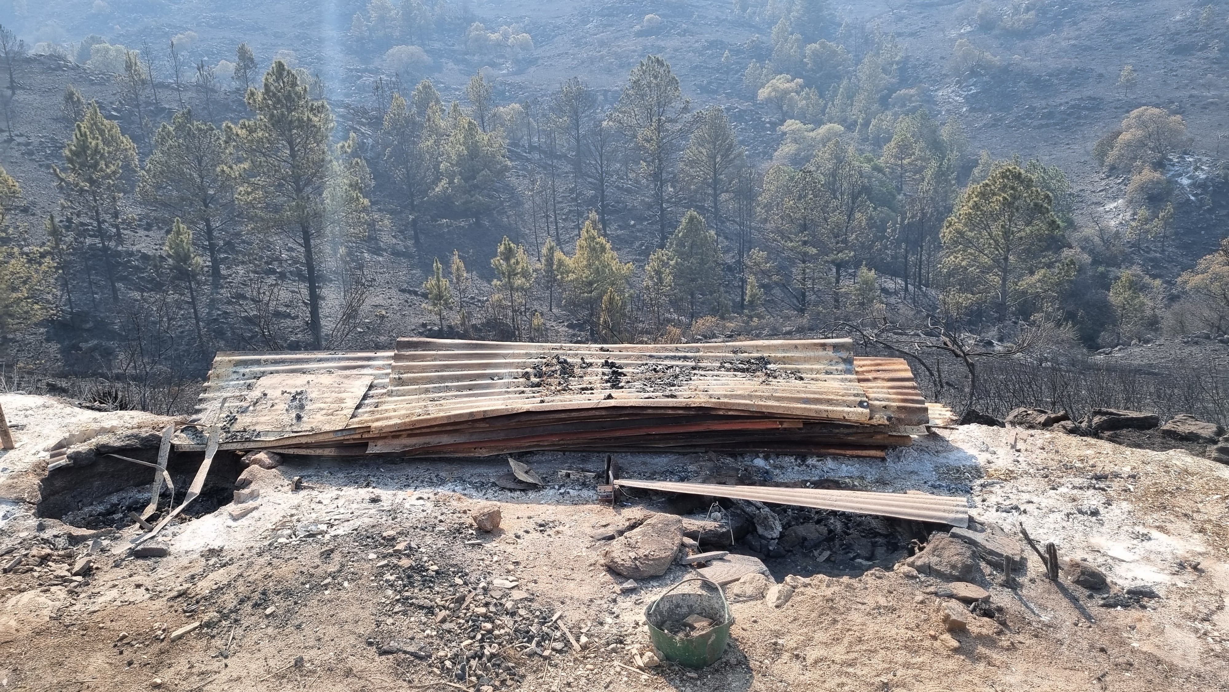 El foco consumió viviendas y obligó la evacuación de vecinos en El Durazno.