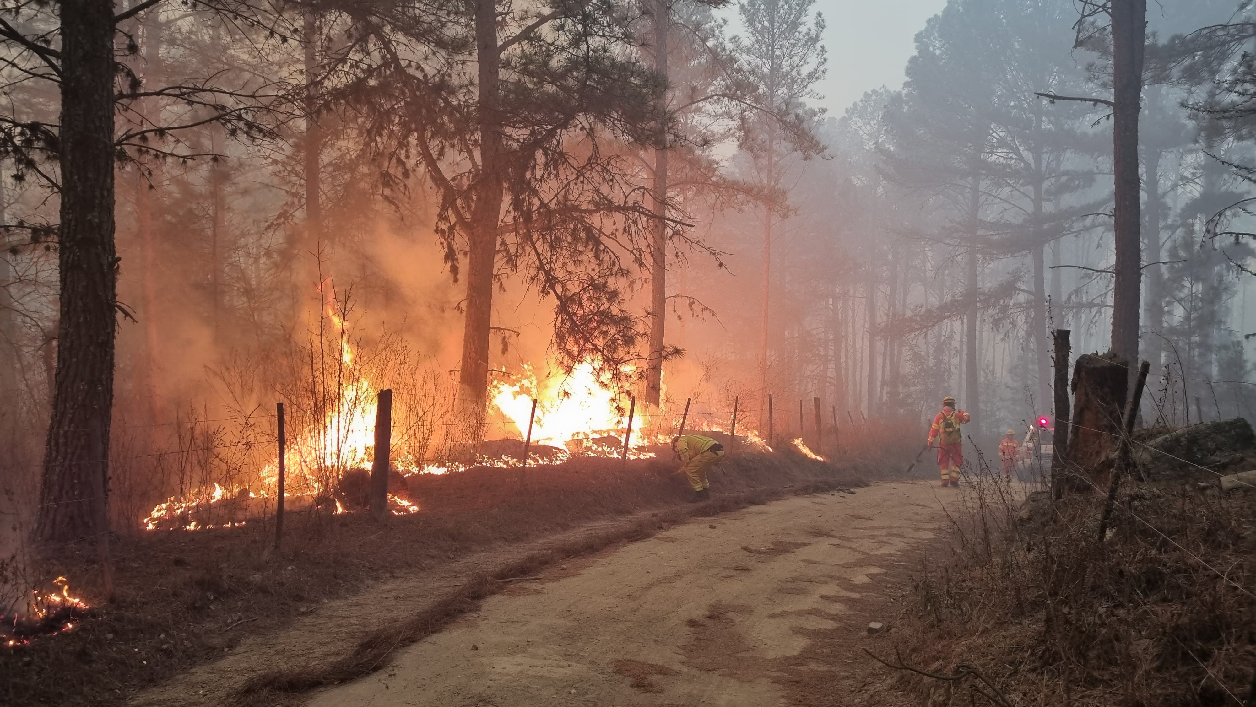 El foco consumió viviendas y obligó la evacuación de vecinos en El Durazno. Foto: Emmanuel Cuestas / ElDoce.