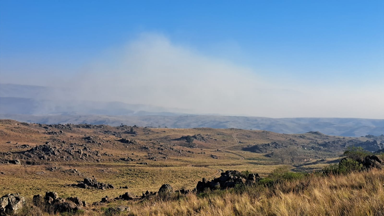 El foco está contenido en un sector de difícil acceso de Loma Alta. 