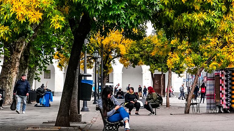 El frío dio una tregua en los primeros días de junio.