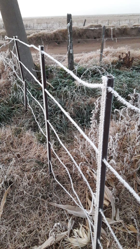 El frío golpeó fuerte en la madrugada y congeló fuentes, parabrisas y hasta el pasto en Córdoba. / Foto enviadas por los usuarios a El Doce