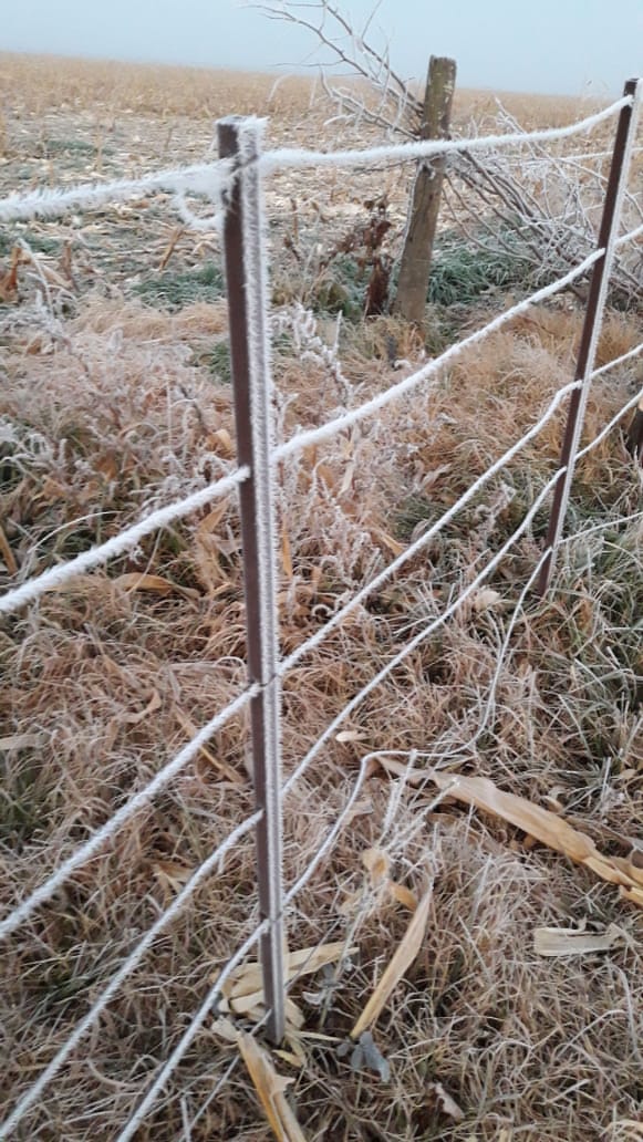 El frío golpeó fuerte en la madrugada y congeló fuentes, parabrisas y hasta el pasto en Córdoba. / Foto enviadas por los usuarios a El Doce