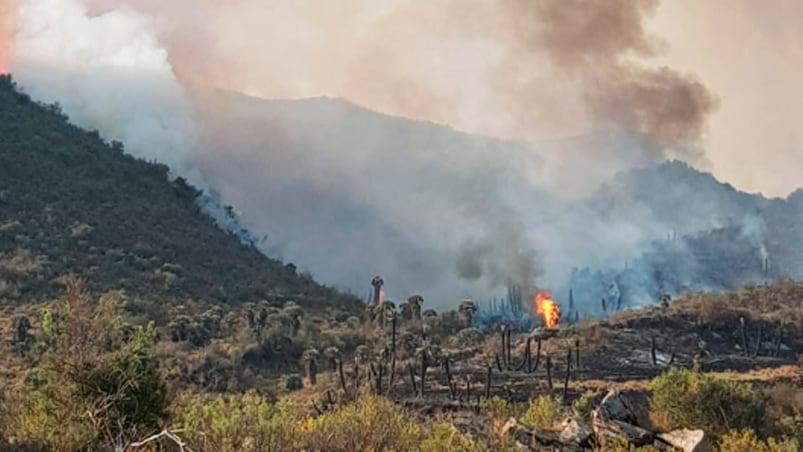 El fuego afecta la zona del basural de podas de Mina Clavero. 