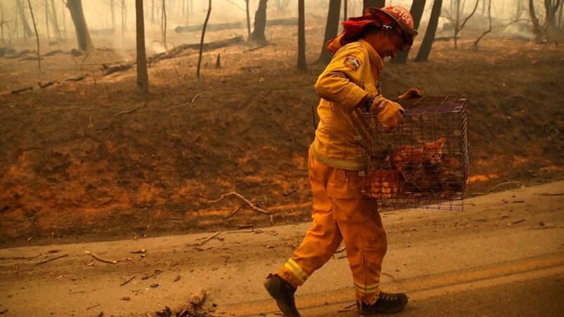 El fuego arrasó con fuerza dejando muertos y desaparecidos.