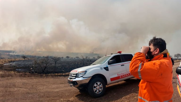El fuego arrasó con la vegetación y la fauna en diferentes sectores de la provincia de Córdoba.