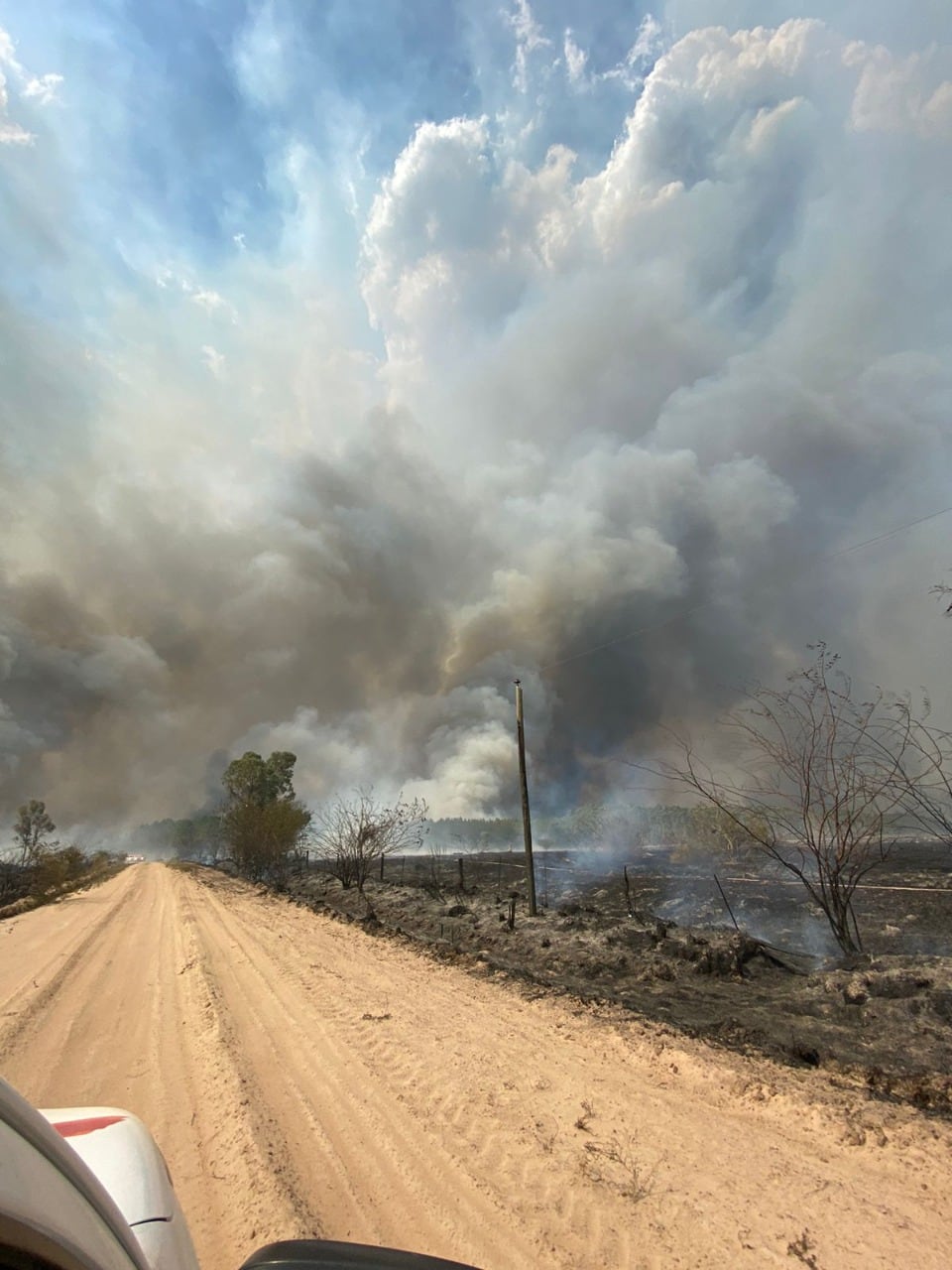 El fuego arrasó con más de 800 mil hectáreas.