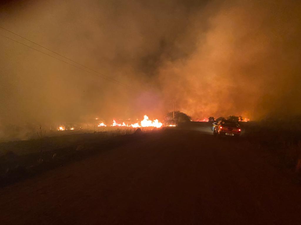 El fuego arrasó con más de 800 mil hectáreas.